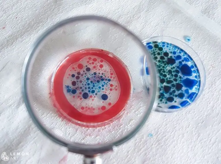 taller arte microscopico
