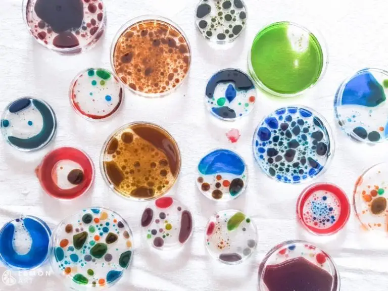 experimentos artísticos